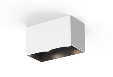 BINNENVERLICHTING: Downlight, 2x GU10, Rechthoek