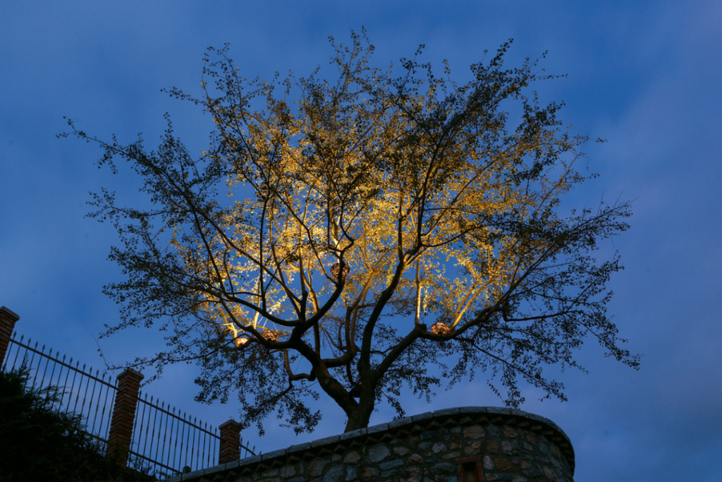Boomverlichting